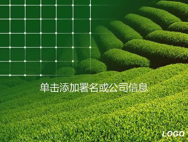 绿色茶山自然风景PPT模板1