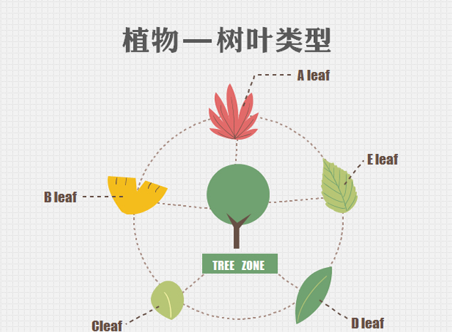 植物树叶类型ppt图表