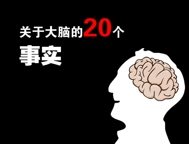 关于大脑的20个事实——适合职场培训的ppt模板