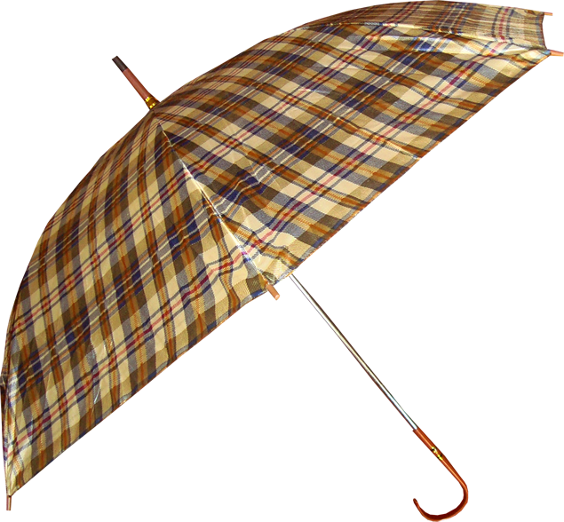 格子布雨伞