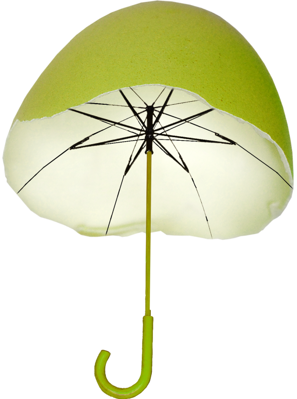 绿色鸡蛋壳雨伞
