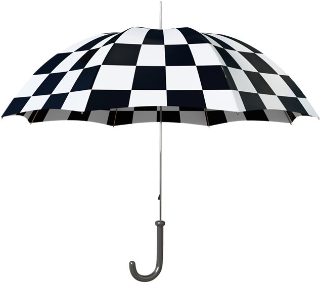 黑白格子动感雨伞