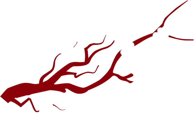 枝头腊梅免抠图
