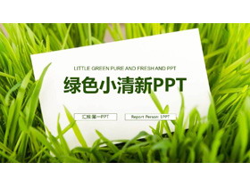 绿草白色卡片背景的清新工作计划PPT模板