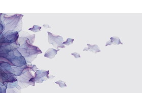 紫色唯美艺术花瓣PPT背景图片
