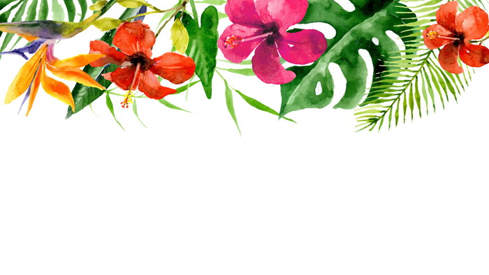 两张彩色水彩花卉幻灯片背景图片