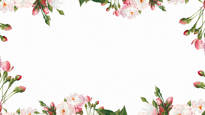 清新韩范植物花卉PPT边框背景图片