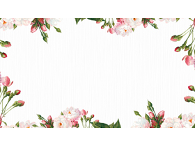 清新韩范植物花卉PPT边框背景图片
