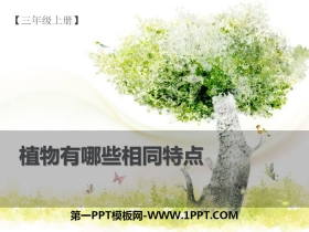 《植物的共同特点》植物PPT下载