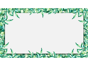 四张绿色清新植物叶子PPT背景图