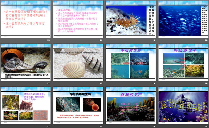 《海底世界》PPT教学课件