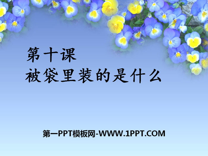 《被袋里装的是什么》PPT课件