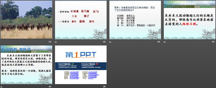 《游天然动物园》PPT