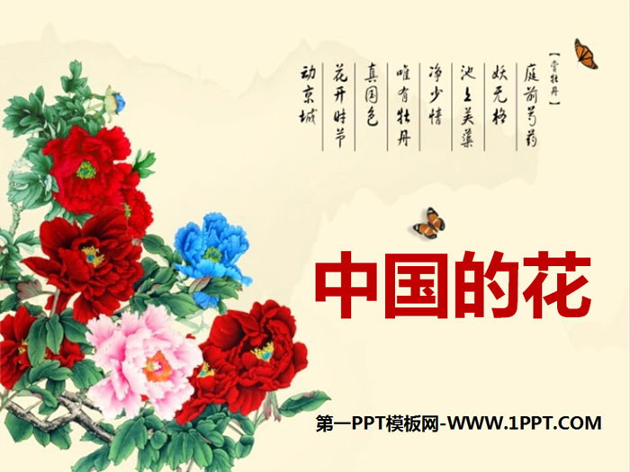 《中国的花》PPT