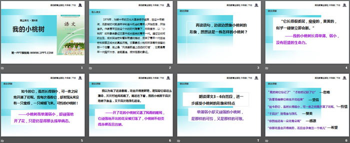 《我的小桃树》PPT