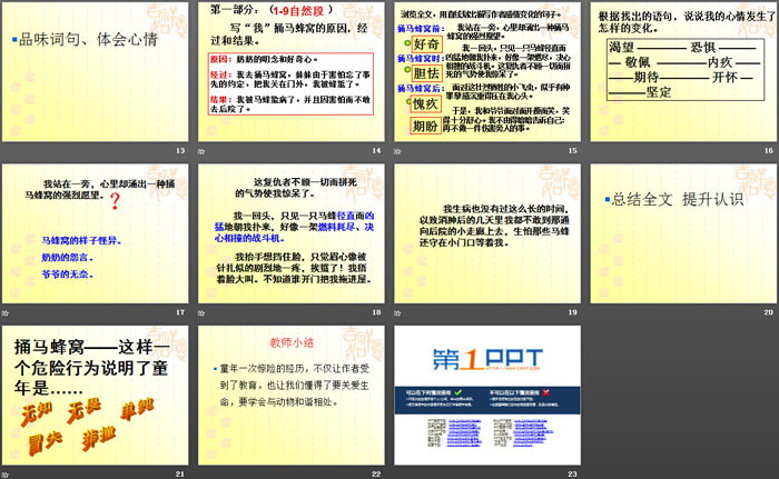 《捅马蜂窝》PPT