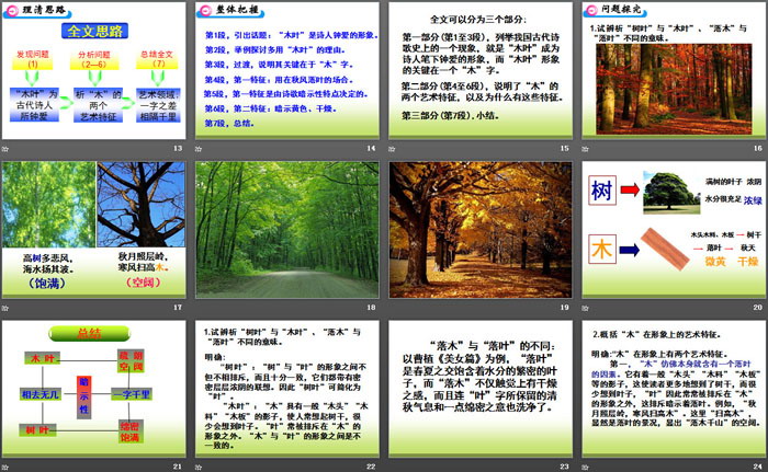 《说“木叶”》PPT