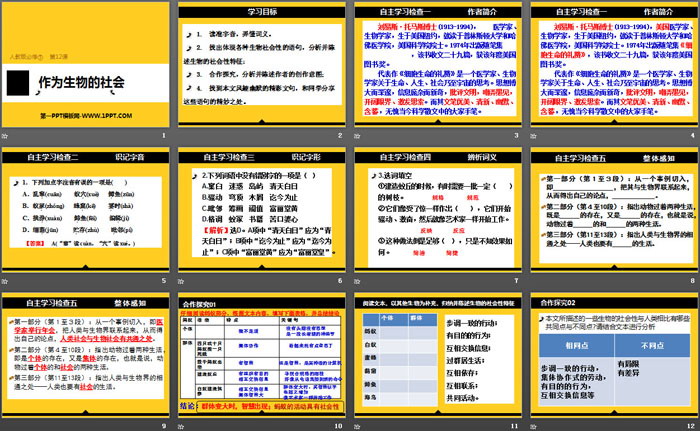 《作为生物的社会》PPT