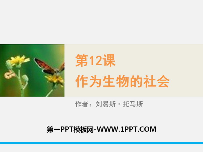 《作为生物的社会》PPT下载