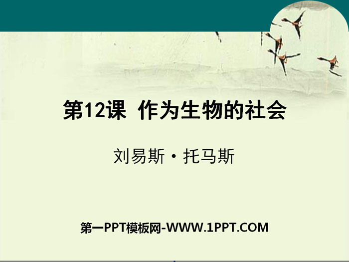 《作为生物的社会》PPT教学课件