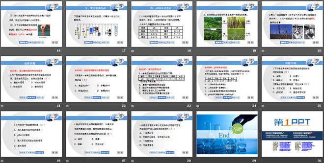 《溶液的酸碱性》常见的酸、碱、盐PPT课件3