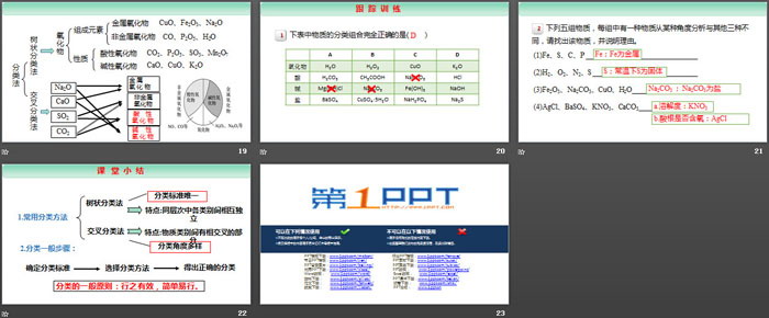 《物质的分类》物质的分类及转化PPT