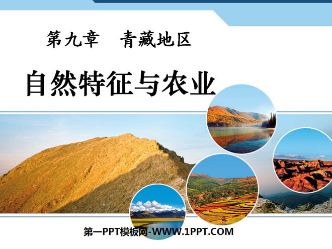 《自然特征与农业》青藏地区PPT课件