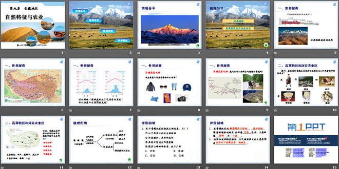 《自然特征与农业》青藏地区PPT课件