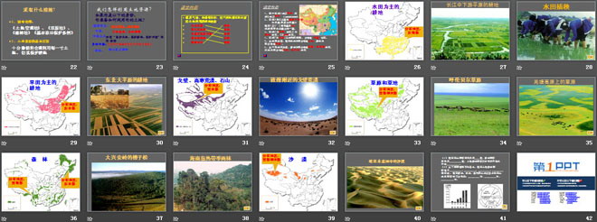 《土地资源》中国的自然资源PPT课件5