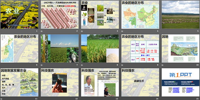《农业》中国的经济发展PPT课件2