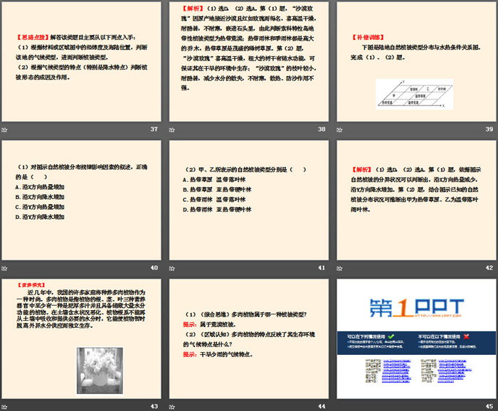 《主要植被与自然环境》地球上的植被与土壤PPT下载