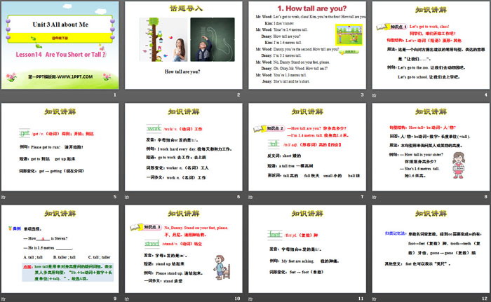 《Are You Short or Tall?》All about Me PPT课件