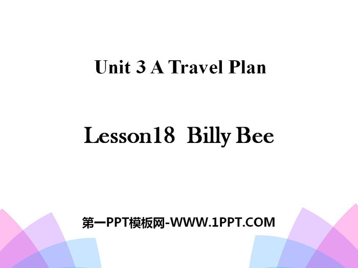 《Billy Bee》A Travel Plan PPT