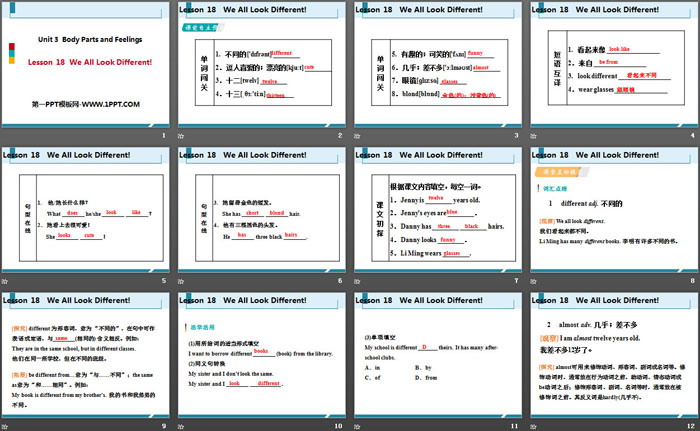 《We All Look Different!》Body Parts and Feelings PPT课件下载