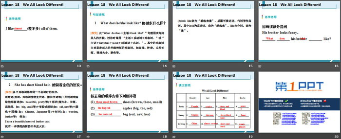 《We All Look Different!》Body Parts and Feelings PPT课件下载