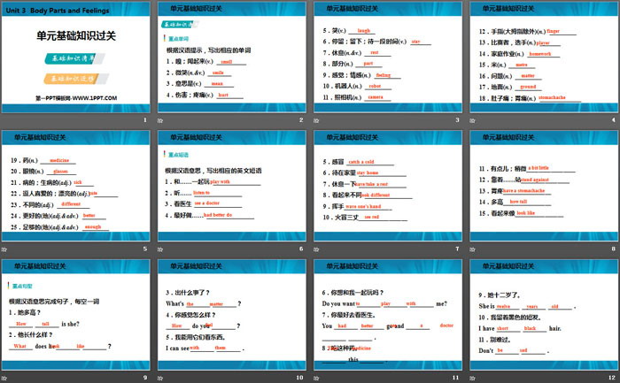 《单元基础知识过关》Body Parts and Feelings PPT