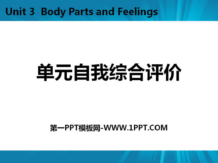 《单元自我综合评价》Body Parts and Feelings PPT