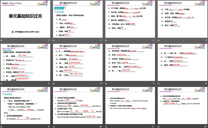 《单元基础知识过关》Plant a Plant PPT