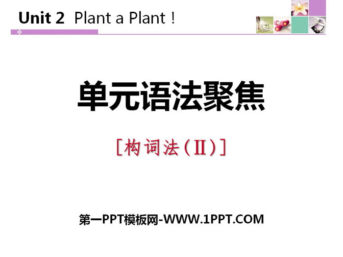 《单元语法聚焦》Plant a Plant PPT课件