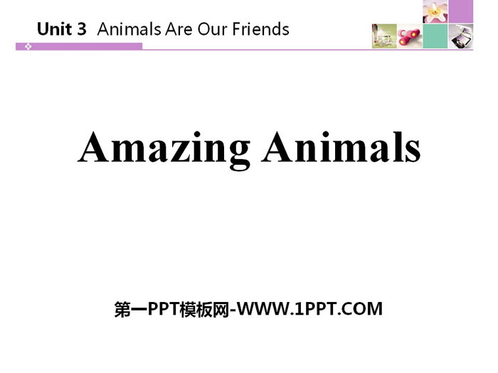 《Amazing Animals》Animals Are Our Friends PPT教学课件