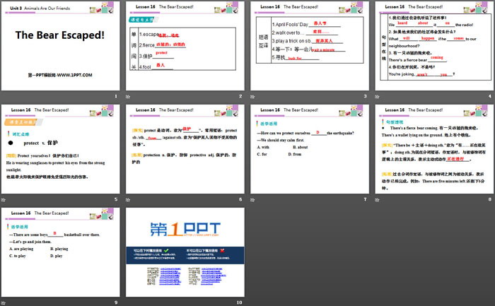 《The Bear Escaped!》Animals Are Our Friends PPT教学课件