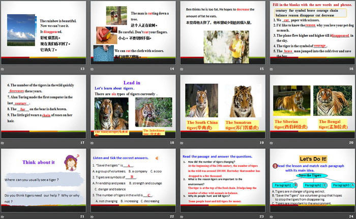 《Save the Tigers》Animals Are Our Friends PPT免费课件