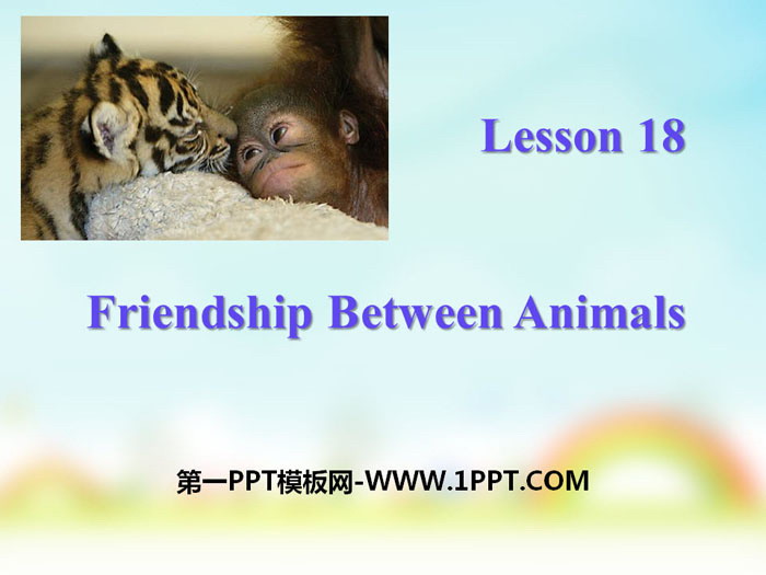 《Friendship Between Animals》Animals Are Our Friends PPT