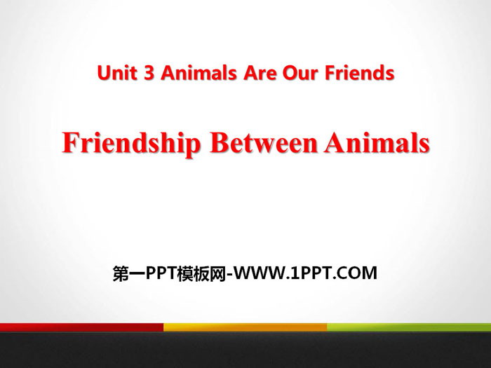 《Friendship Between Animals》Animals Are Our Friends PPT课件下载