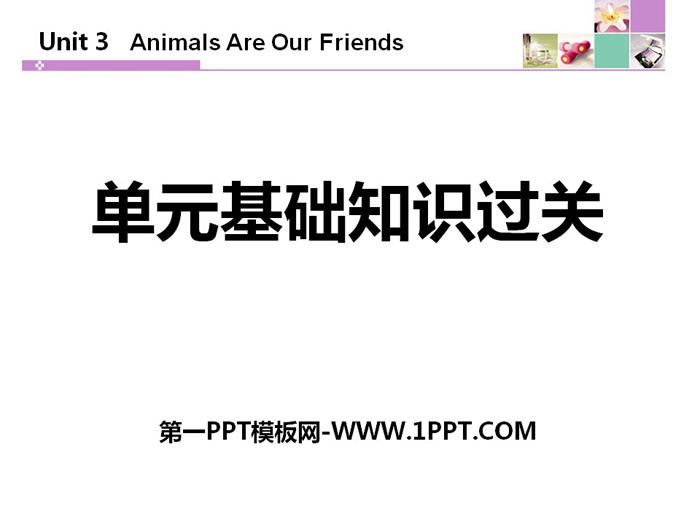 《单元基础知识过关》Animals Are Our Friends PPT