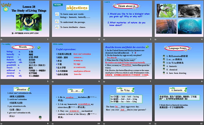 《The Study of Living Things》Look into Science! PPT课件