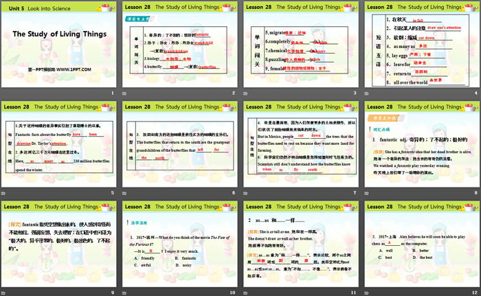 《The Study of Living Things》Look into Science! PPT教学课件