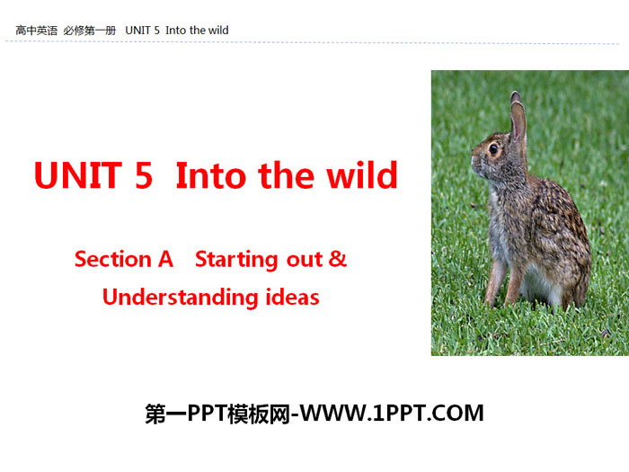 《Into the wild》Section A PPT