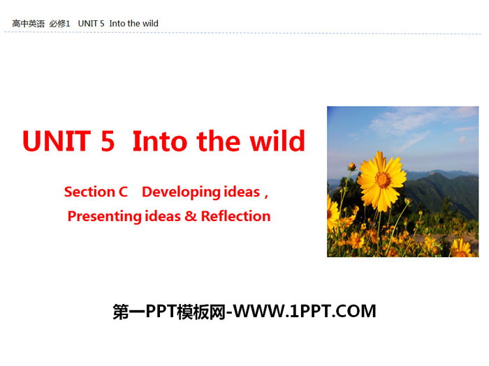 《Into the wild》Section C PPT