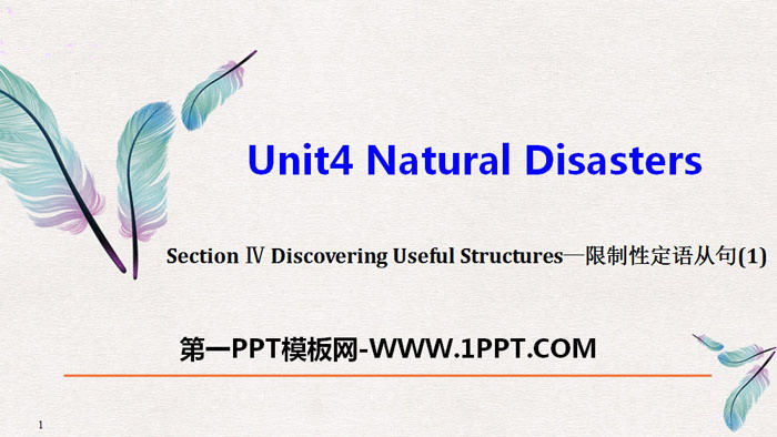 《Natural Disasters》Discovering Useful Structures PPT课件